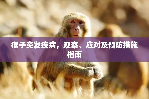 竭尽全力 第3页