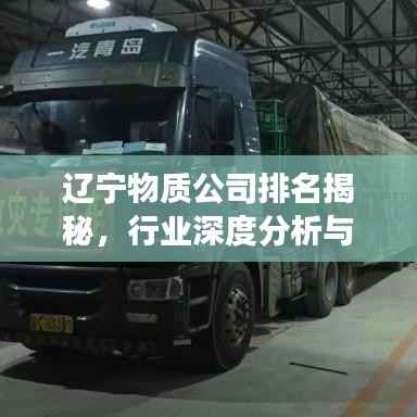 辽宁物质公司排名揭秘，行业深度分析与前景展望