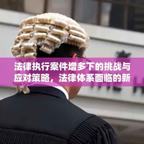 法律执行案件增多下的挑战与应对策略,法律体系面临的新挑战