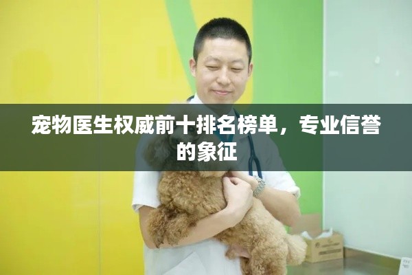 宠物医生权威前十排名榜单,专业信誉的象征