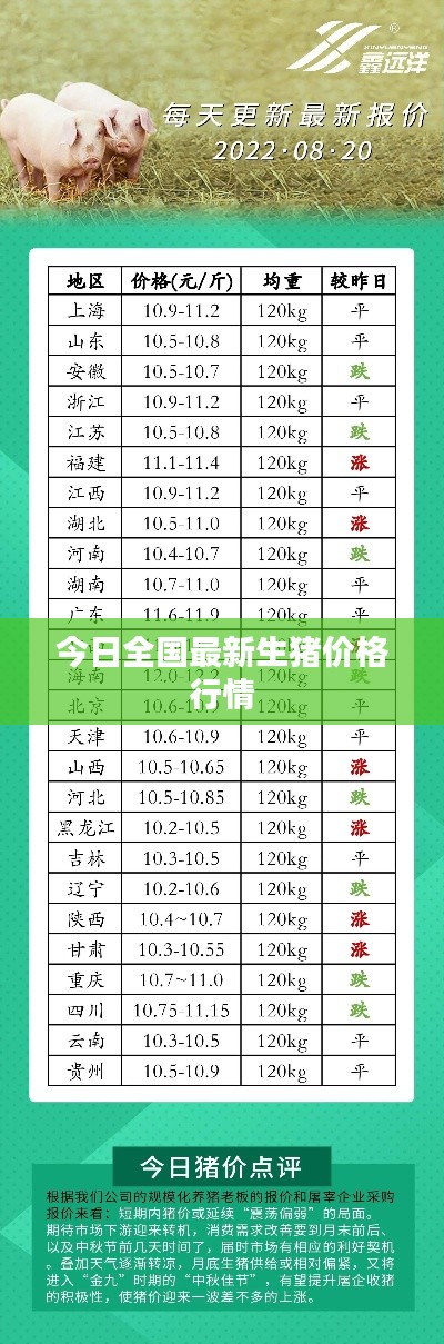今日全国最新生猪价格行情