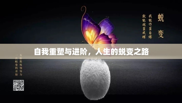 自我重塑与进阶,人生的蜕变之路