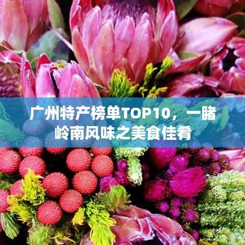 广州特产榜单TOP10,一睹岭南风味之美食佳肴