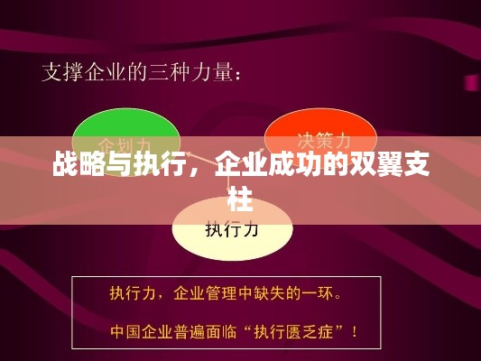 战略与执行,企业成功的双翼支柱
