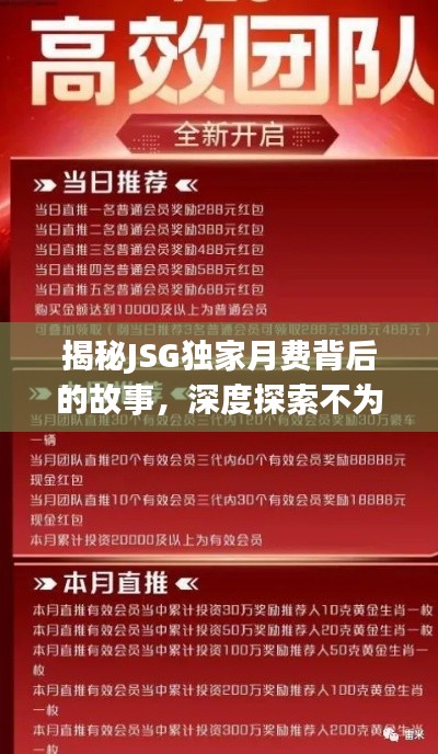 揭秘JSG独家月费背后的故事,深度探索不为人知的秘密!