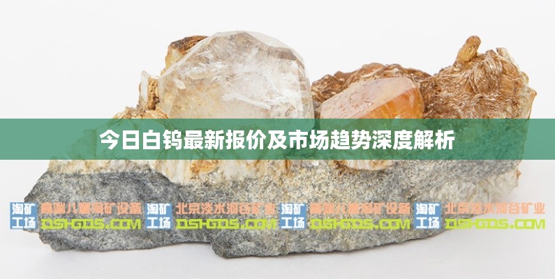 今日白钨最新报价及市场趋势深度解析