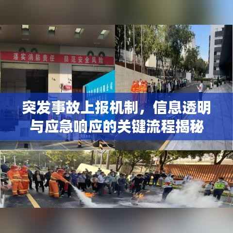 突发事故上报机制，信息透明与应急响应的关键流程揭秘