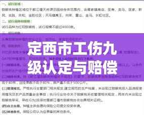 定西市工伤九级认定与赔偿详解
