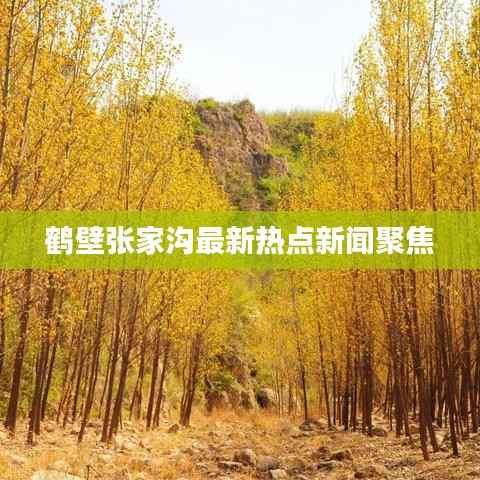 鹤壁张家沟最新热点新闻聚焦
