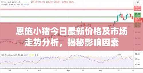 恩施小猪今日最新价格及市场走势分析,揭秘影响因素