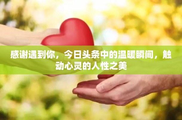 感谢遇到你,今日头条中的温暖瞬间,触动心灵的人性之美