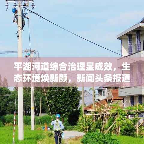 平湖河道综合治理显成效，生态环境焕新颜，新闻头条报道
