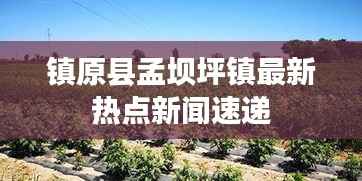 镇原县孟坝坪镇最新热点新闻速递
