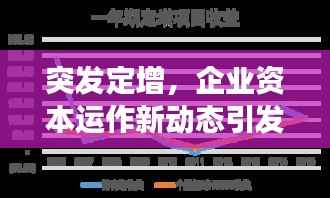 突发定增,企业资本运作新动态引发市场热议与反应