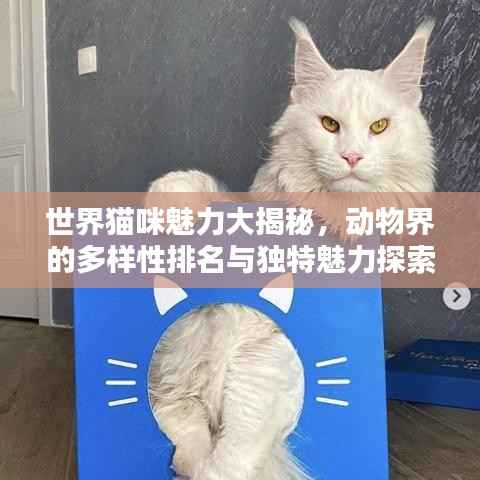 世界猫咪魅力大揭秘，动物界的多样性排名与独特魅力探索