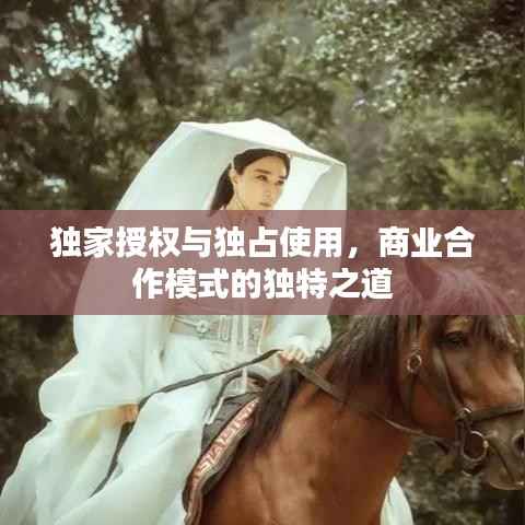 独家授权与独占使用,商业合作模式的独特之道