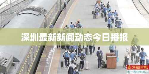 深圳最新新闻动态今日播报