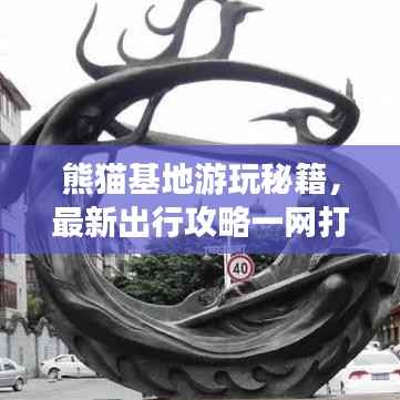 熊猫基地游玩秘籍,最新出行攻略一网打尽!