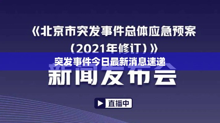 凤毛麟角 第2页