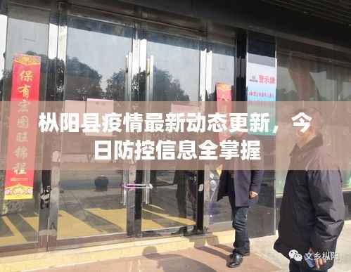 枞阳县疫情最新动态更新,今日防控信息全掌握