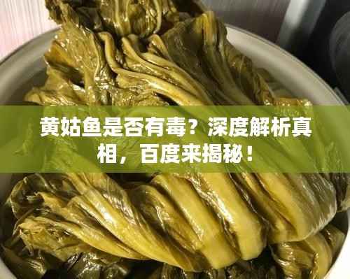 黄姑鱼是否有毒？深度解析真相，百度来揭秘！
