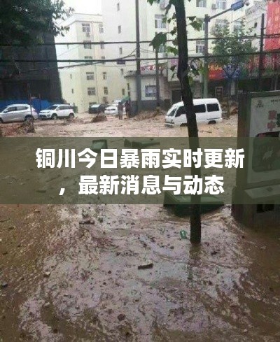 铜川今日暴雨实时更新,最新消息与动态