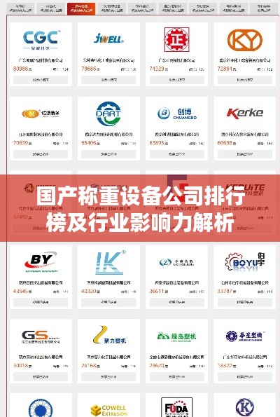 国产称重设备公司排行榜及行业影响力解析