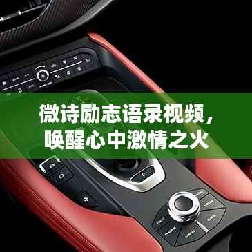 鸡飞狗跳 第2页