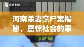 河南杀妻烹尸案揭秘,震惊社会的罪行与司法公正探寻