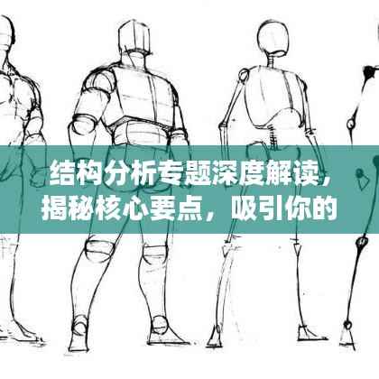结构分析专题深度解读，揭秘核心要点，吸引你的目光！