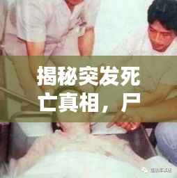 揭秘突发死亡真相,尸检揭秘死亡真相的过程与意义