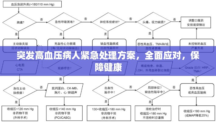 突发高血压病人紧急处理方案,全面应对,保障健康