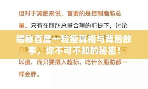 揭秘百度一粒瘦真相与背后故事，你不可不知的秘密！
