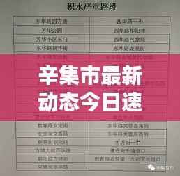 辛集市最新动态今日速递