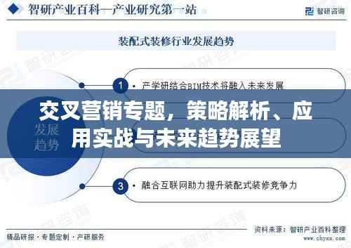 交叉营销专题,策略解析、应用实战与未来趋势展望