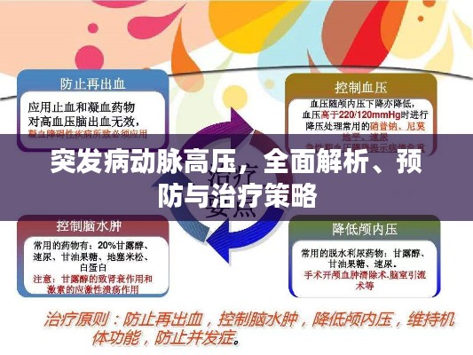 突发病动脉高压,全面解析、预防与治疗策略