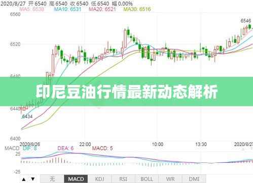 反正还淳 第3页