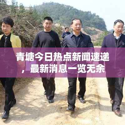青塘今日热点新闻速递，最新消息一览无余