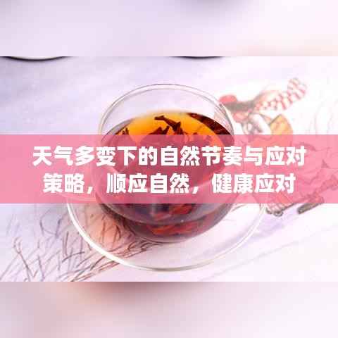 天气多变下的自然节奏与应对策略，顺应自然，健康应对