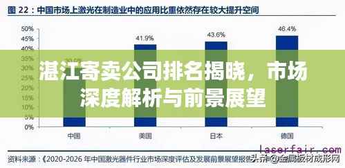 湛江寄卖公司排名揭晓，市场深度解析与前景展望