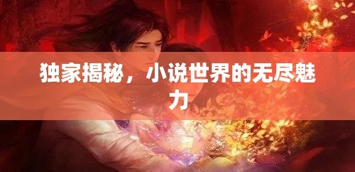 独家揭秘，小说世界的无尽魅力
