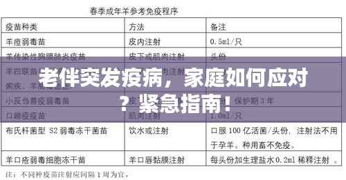 老伴突发疫病，家庭如何应对？紧急指南！