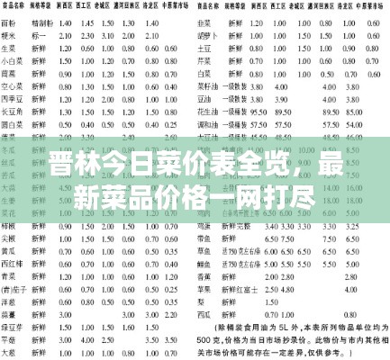 晋林今日菜价表全览，最新菜品价格一网打尽