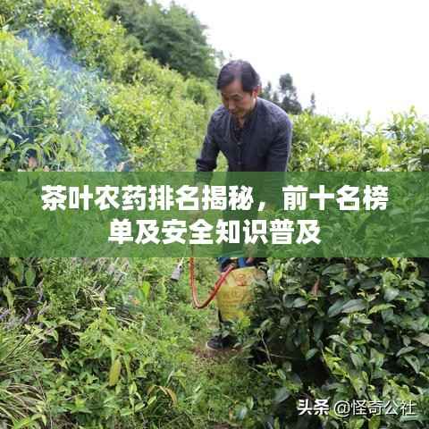 茶叶农药排名揭秘，前十名榜单及安全知识普及