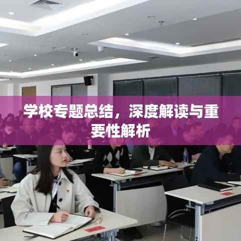 学校专题总结,深度解读与重要性解析