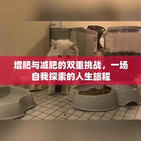 增肥与减肥的双重挑战,一场自我探索的人生旅程
