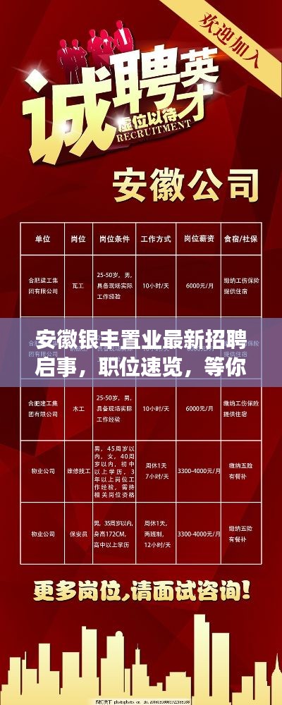 安徽银丰置业最新招聘启事,职位速览,等你来挑战!