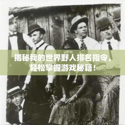 揭秘我的世界野人排名指令，轻松掌握游戏秘籍！