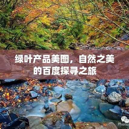绿叶产品美图，自然之美的百度探寻之旅