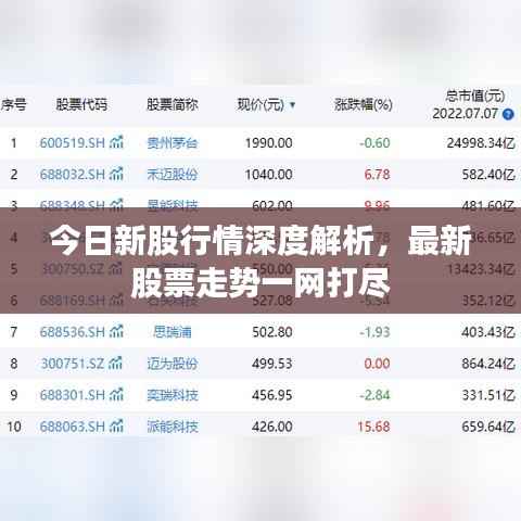 今日新股行情深度解析，最新股票走势一网打尽